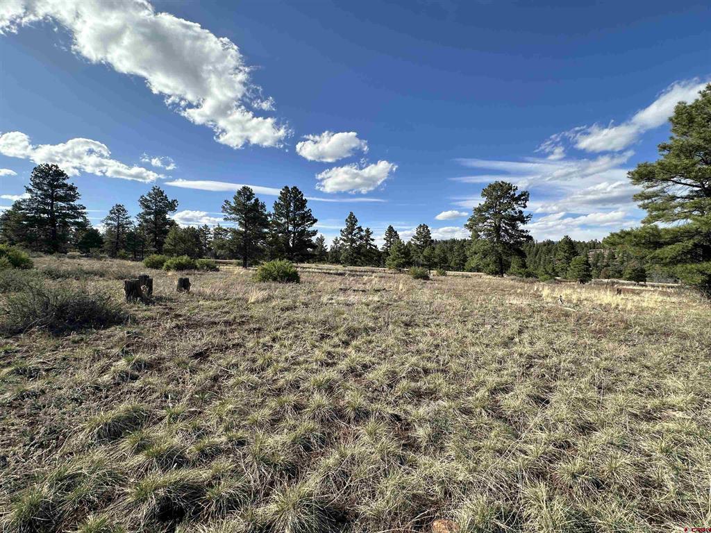 748 Trails Boulevard Pagosa Springs CO 81147