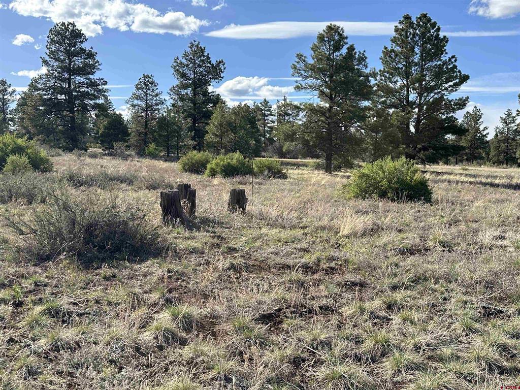 748 Trails Boulevard Pagosa Springs CO 81147