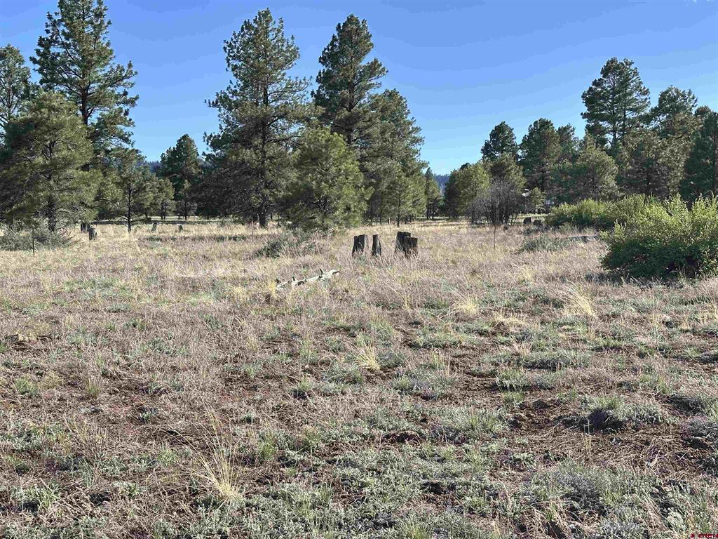 748 Trails Boulevard Pagosa Springs CO 81147