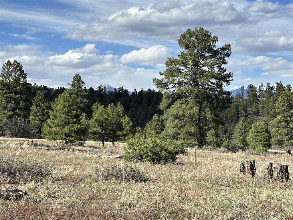 748 Trails Boulevard Pagosa Springs CO 81147
