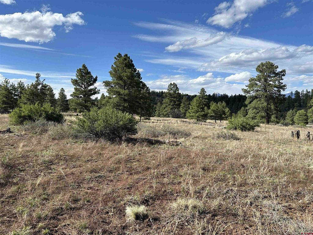 748 Trails Boulevard Pagosa Springs CO 81147