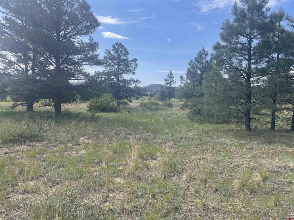 748 Trails Boulevard Pagosa Springs CO 81147