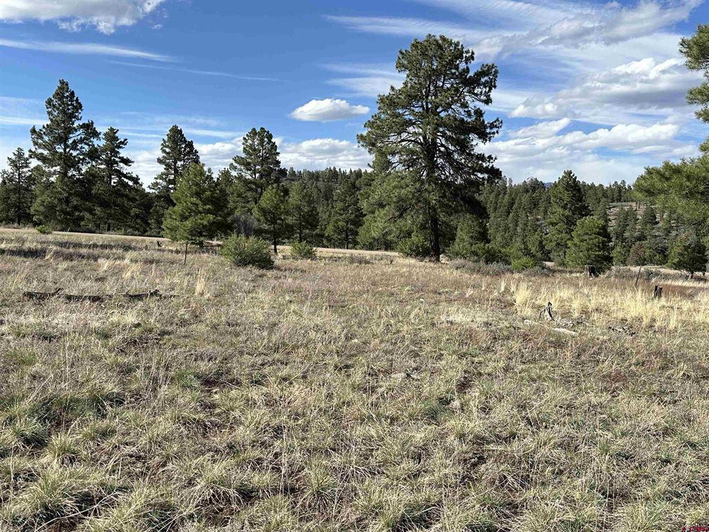 748 Trails Boulevard Pagosa Springs CO 81147