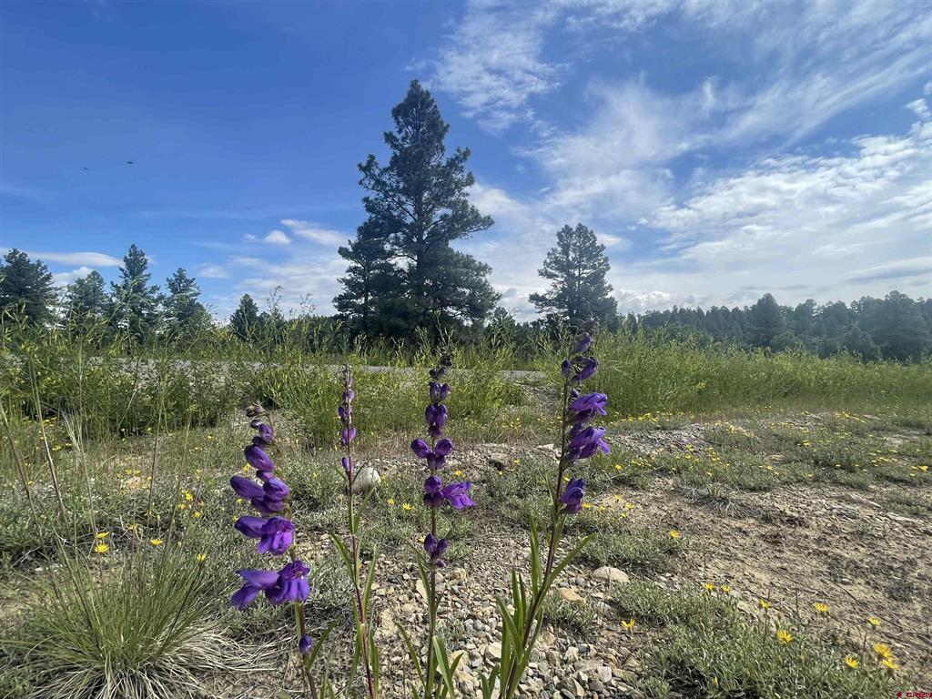 748 Trails Boulevard Pagosa Springs CO 81147