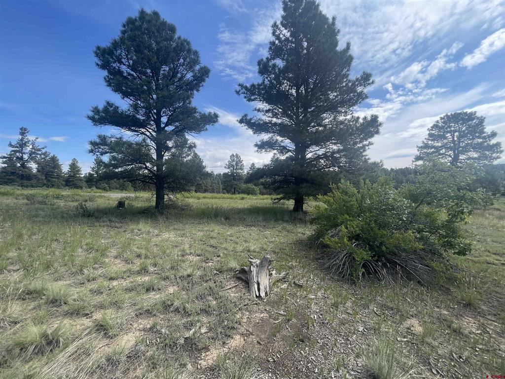 748 Trails Boulevard Pagosa Springs CO 81147