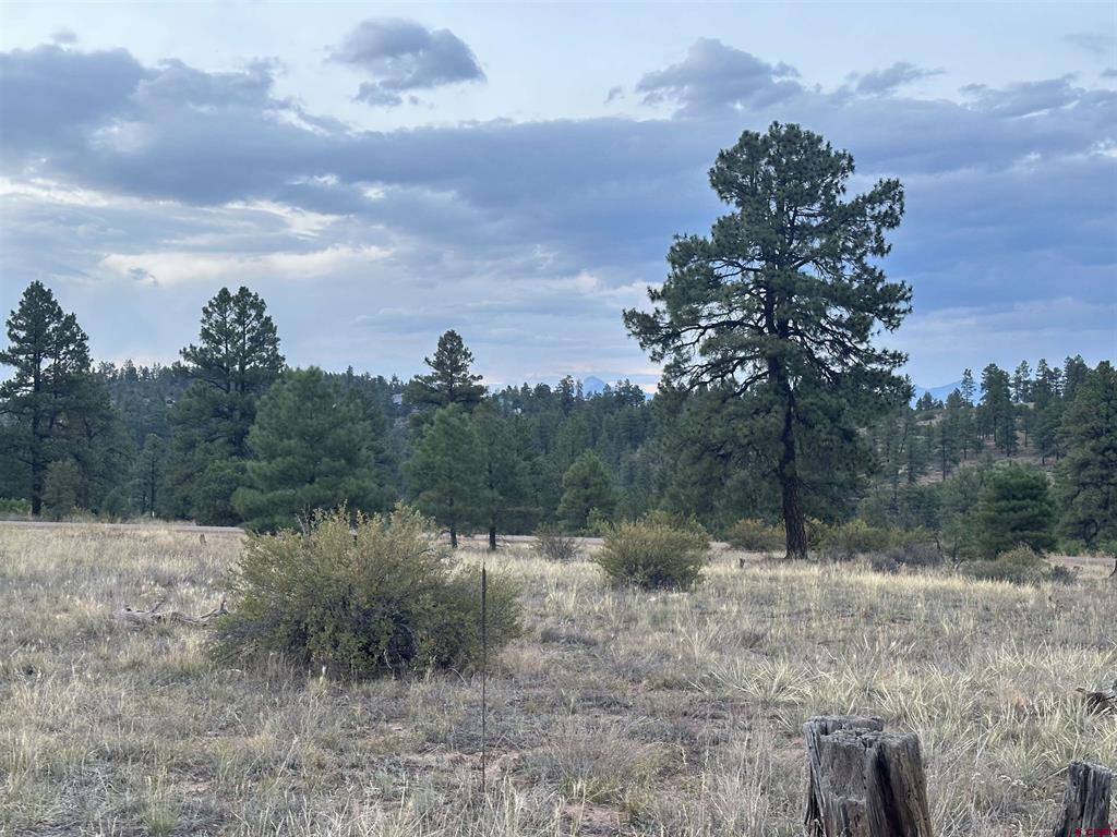 748 Trails Boulevard Pagosa Springs CO 81147
