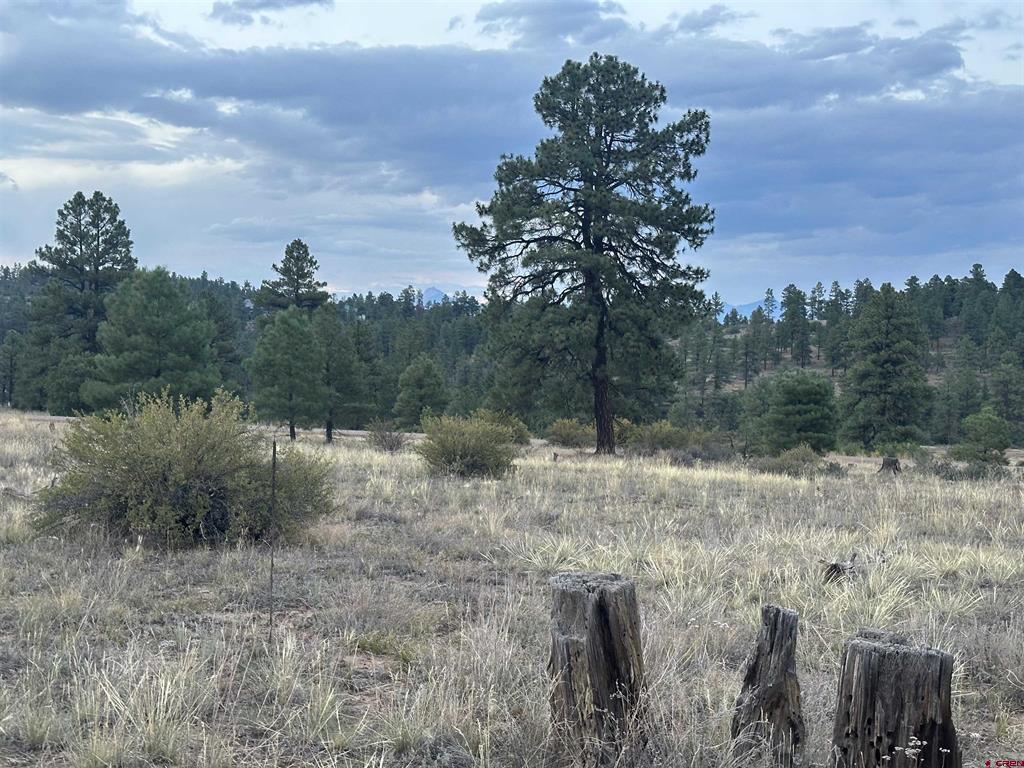 748 Trails Boulevard Pagosa Springs CO 81147