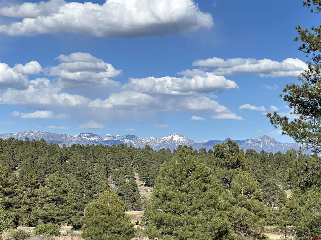 748 Trails Boulevard Pagosa Springs CO 81147