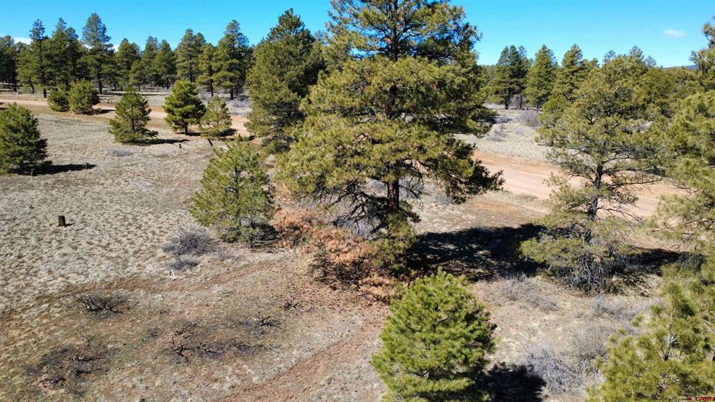748 Trails Boulevard Pagosa Springs CO 81147