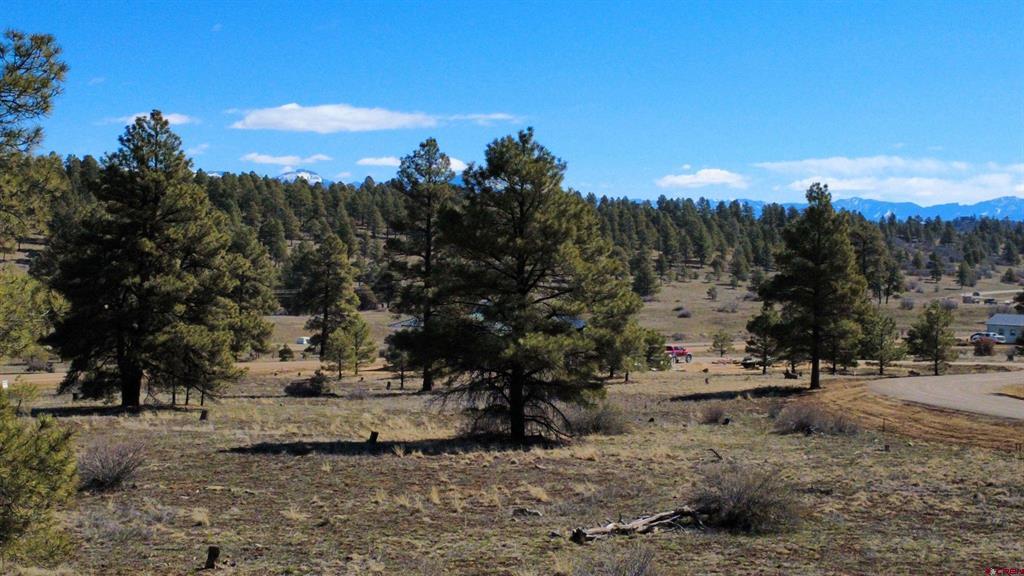 748 Trails Boulevard Pagosa Springs CO 81147