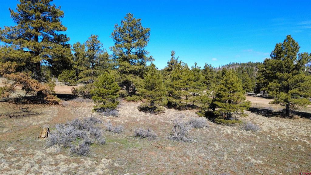 748 Trails Boulevard Pagosa Springs CO 81147