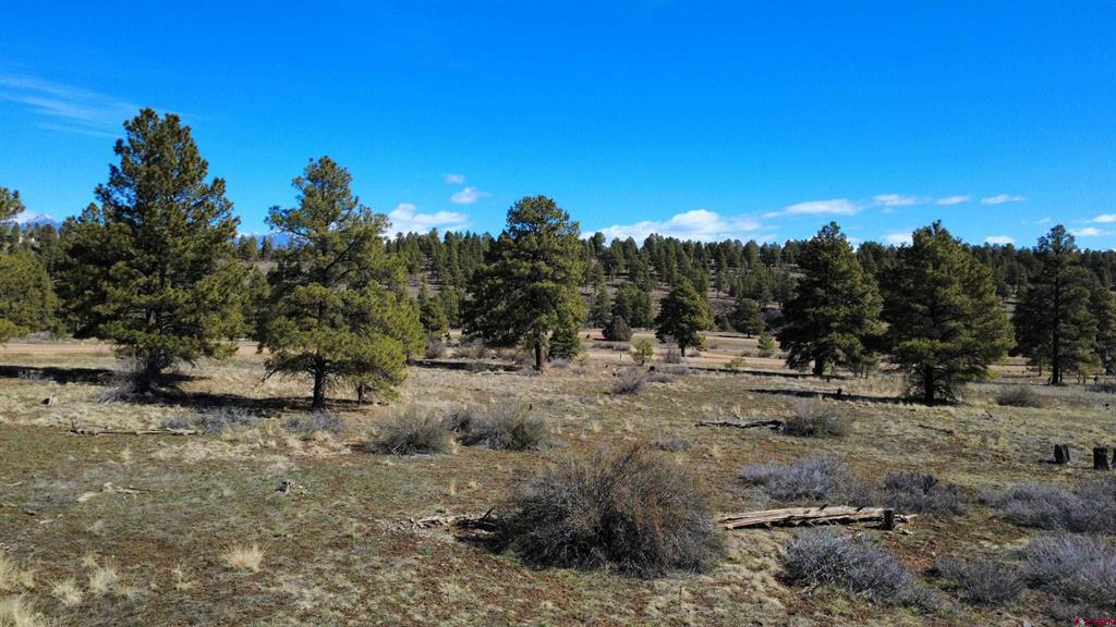 748 Trails Boulevard Pagosa Springs CO 81147