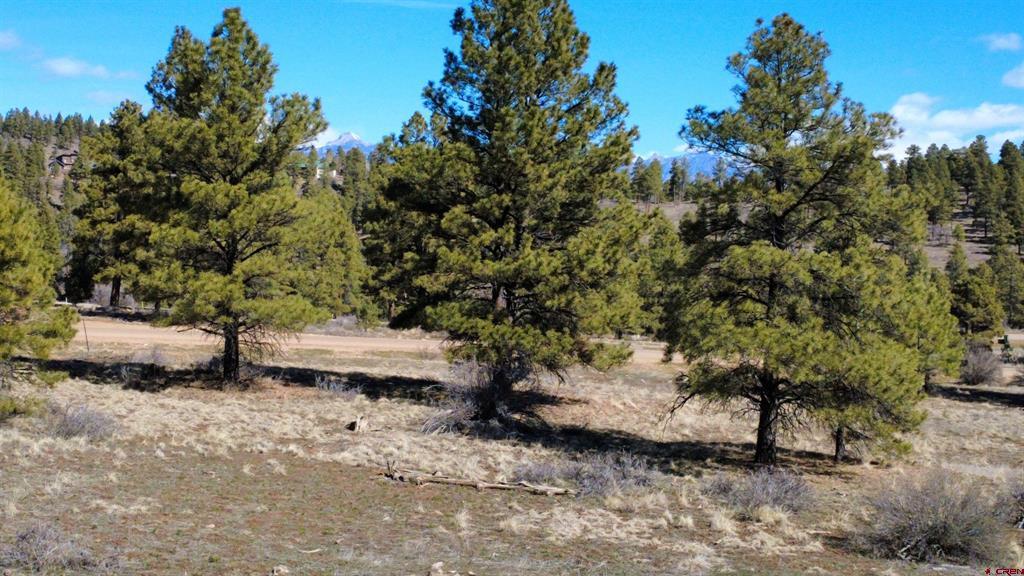 748 Trails Boulevard Pagosa Springs CO 81147