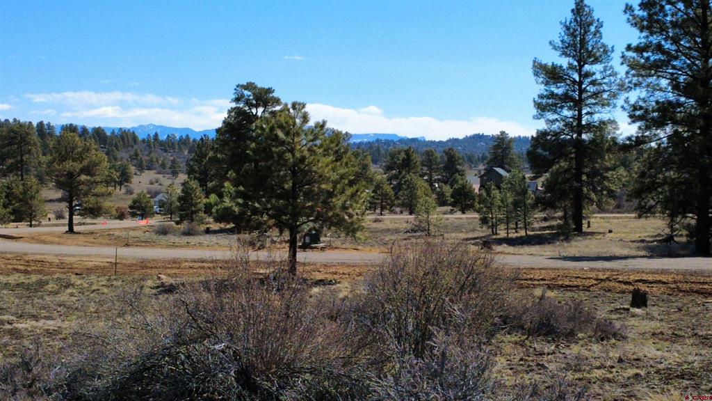 748 Trails Boulevard Pagosa Springs CO 81147