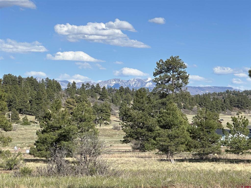 748 Trails Boulevard Pagosa Springs CO 81147