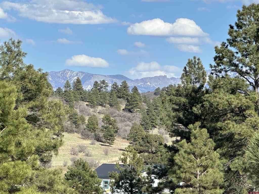 748 Trails Boulevard Pagosa Springs CO 81147