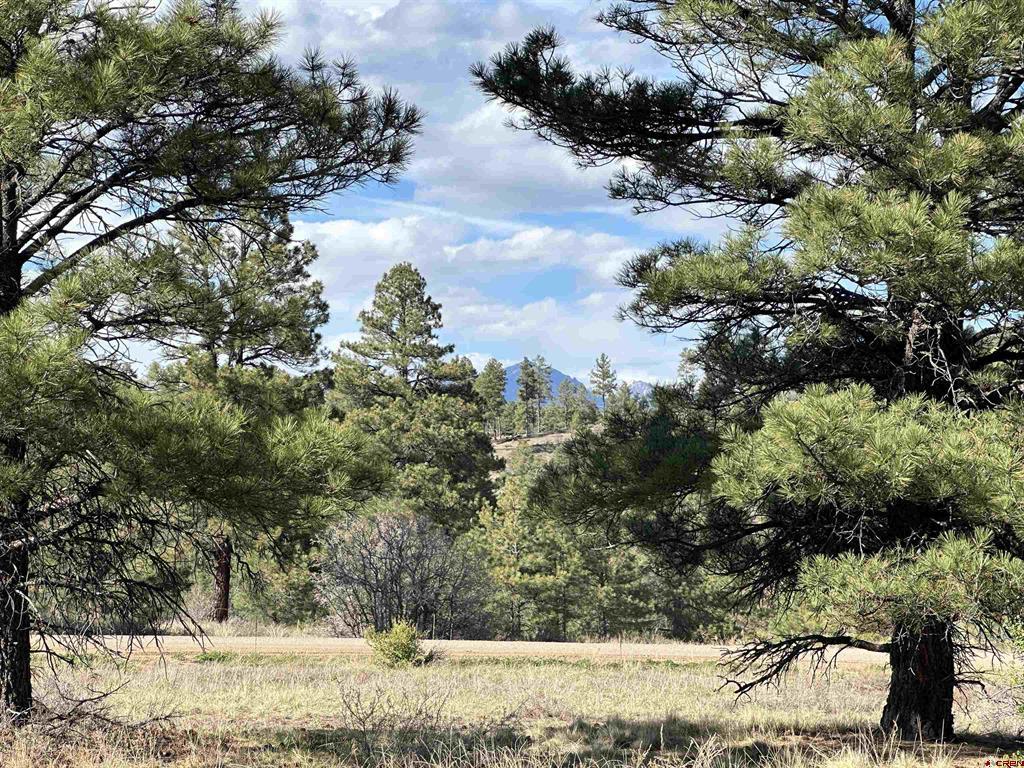 748 Trails Boulevard Pagosa Springs CO 81147