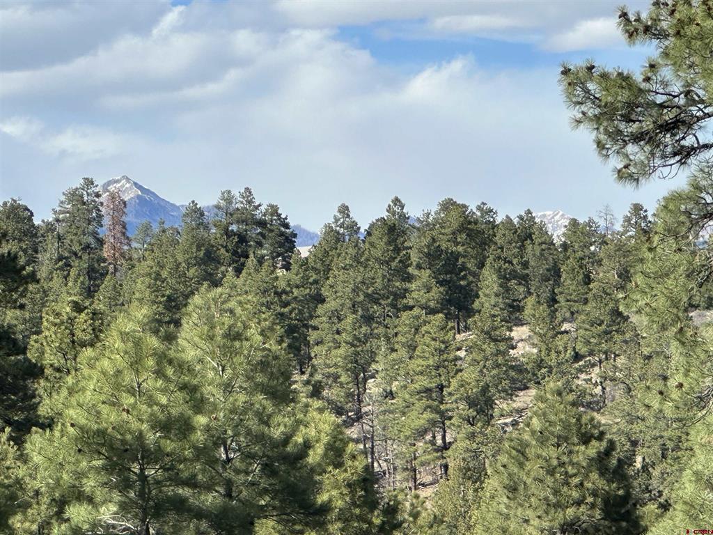 748 Trails Boulevard Pagosa Springs CO 81147