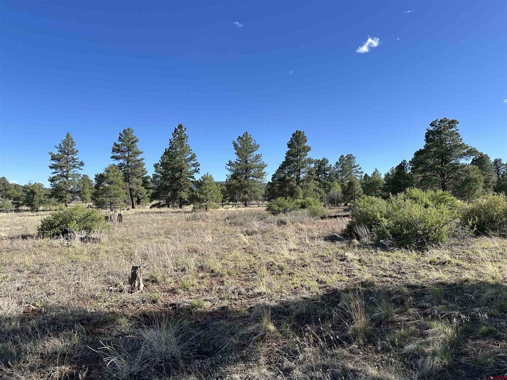 748 Trails Boulevard Pagosa Springs CO 81147