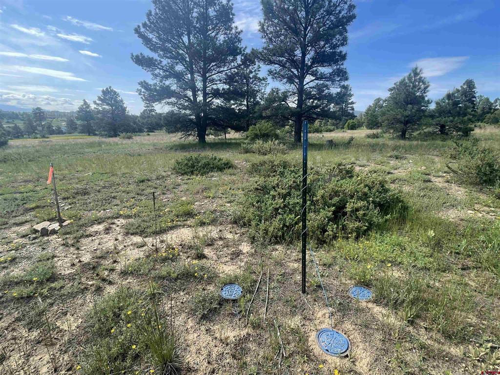 748 Trails Boulevard Pagosa Springs CO 81147