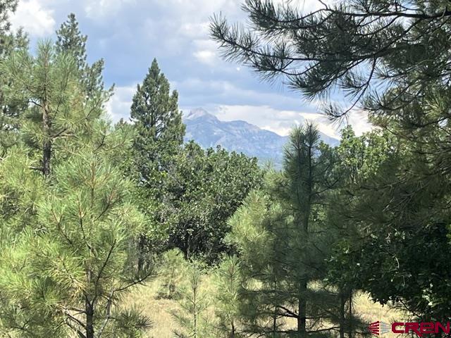 Pagosa Springs CO, X County Road 600 B