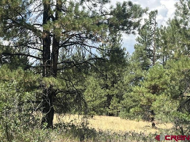 X County Road 600 B Pagosa Springs CO 81147