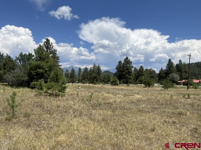 X County Road 600 B Pagosa Springs CO 81147