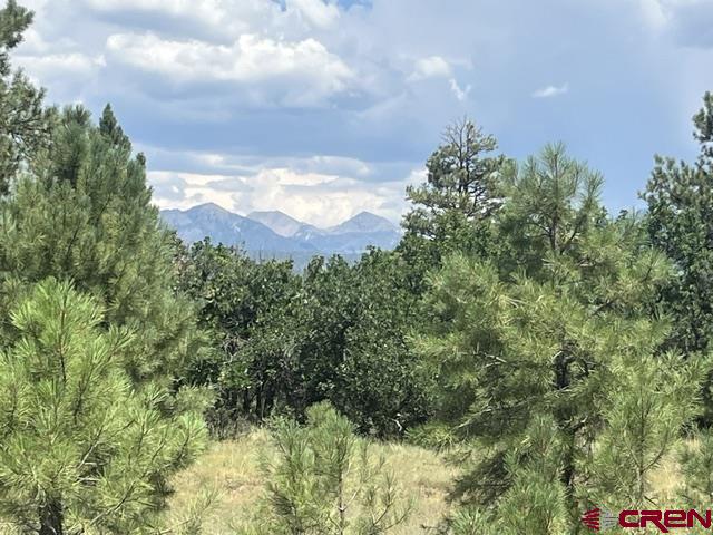 X County Road 600 B Pagosa Springs CO 81147