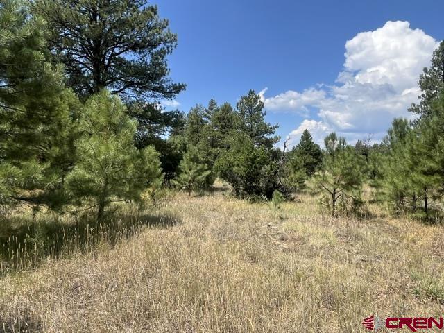 X County Road 600 B Pagosa Springs CO 81147
