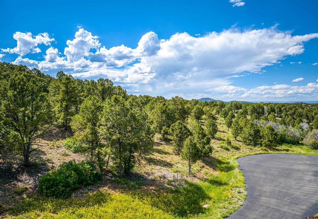 Lot 9 Pointe Escape Drive Ridgway CO 81432