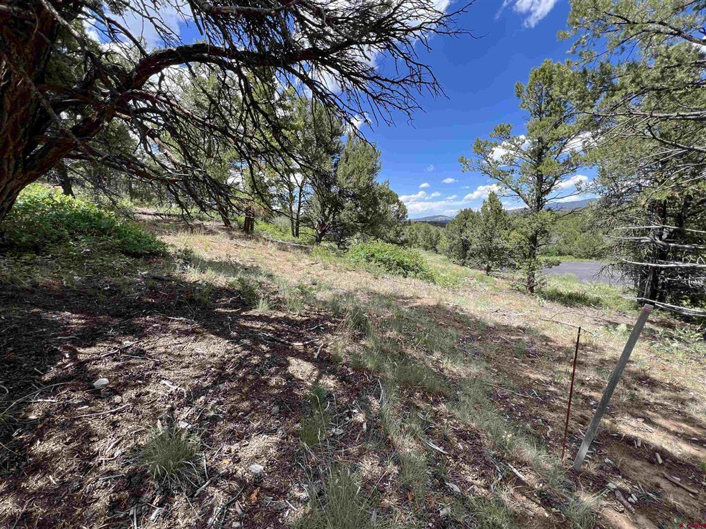 Lot 9 Pointe Escape Drive Ridgway CO 81432