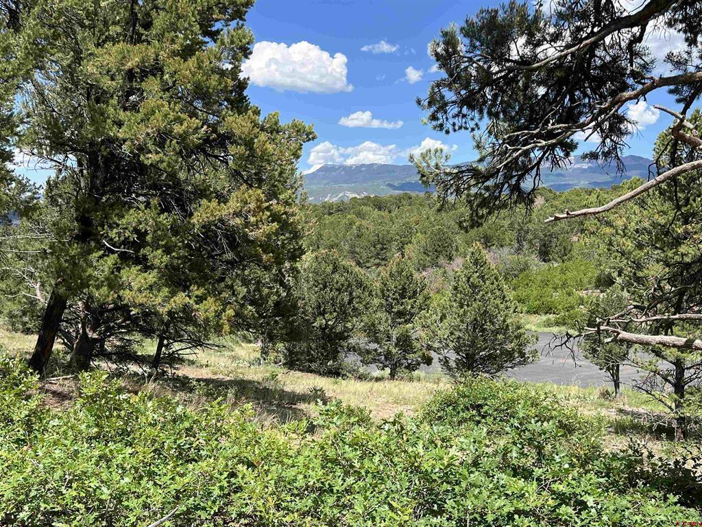 Lot 9 Pointe Escape Drive Ridgway CO 81432