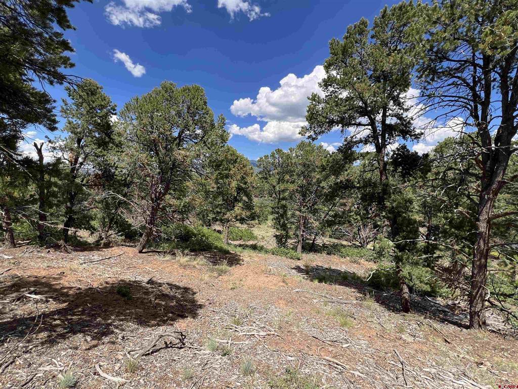 Lot 9 Pointe Escape Drive Ridgway CO 81432