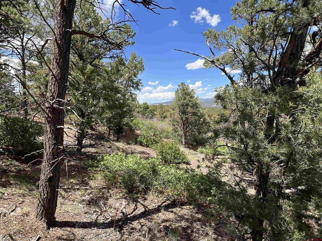 Lot 9 Pointe Escape Drive Ridgway CO 81432