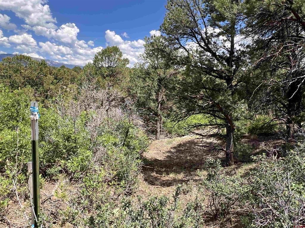 Lot 9 Pointe Escape Drive Ridgway CO 81432