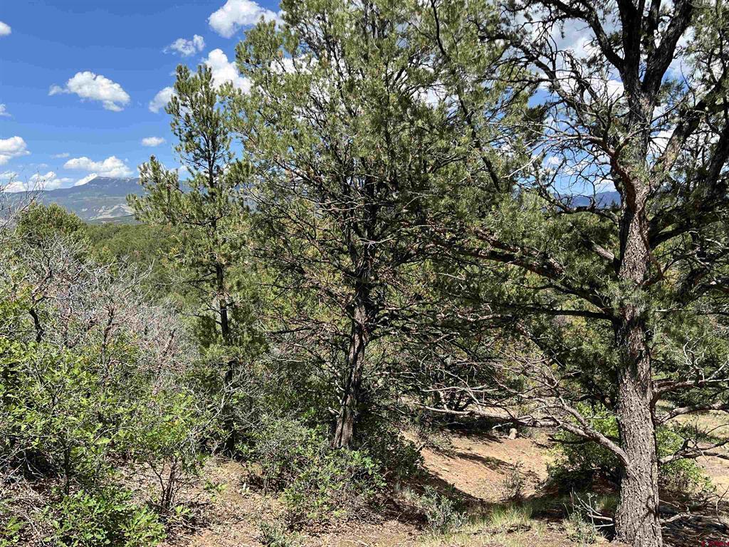 Lot 9 Pointe Escape Drive Ridgway CO 81432