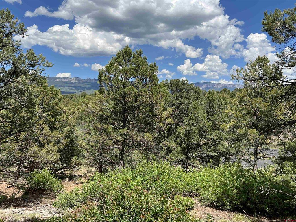 Lot 9 Pointe Escape Drive Ridgway CO 81432
