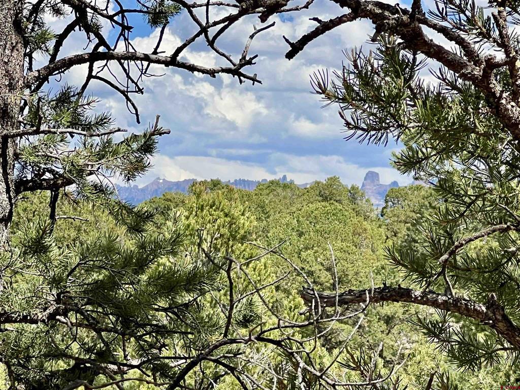Lot 9 Pointe Escape Drive Ridgway CO 81432