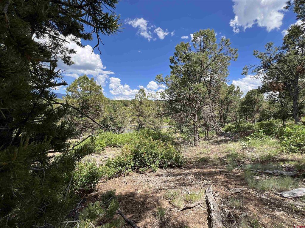 Lot 9 Pointe Escape Drive Ridgway CO 81432