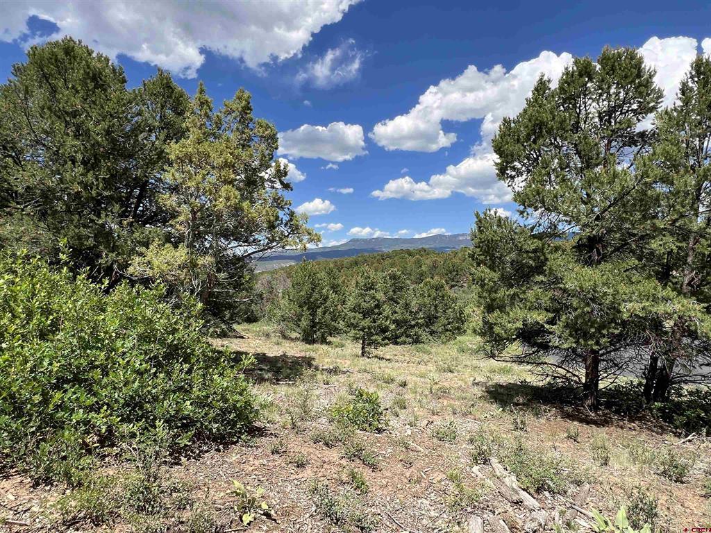 Lot 9 Pointe Escape Drive Ridgway CO 81432