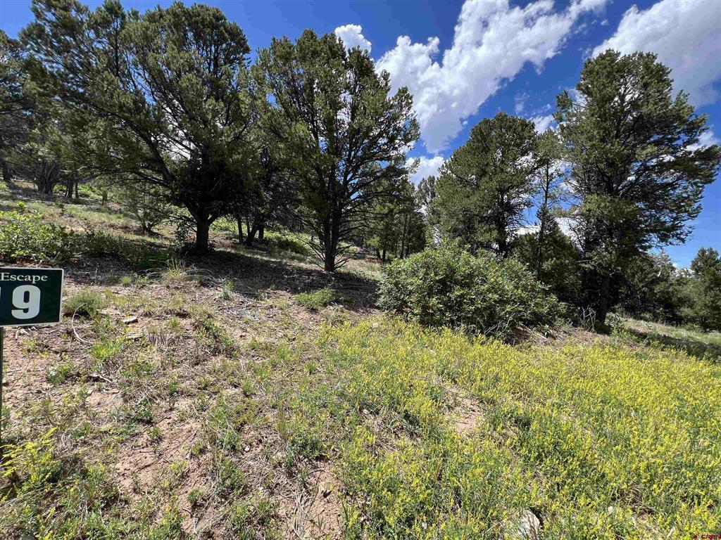 Lot 9 Pointe Escape Drive Ridgway CO 81432