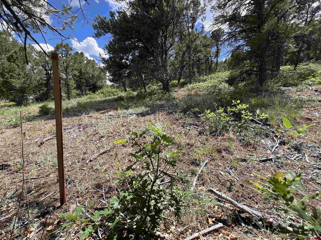 Lot 9 Pointe Escape Drive Ridgway CO 81432