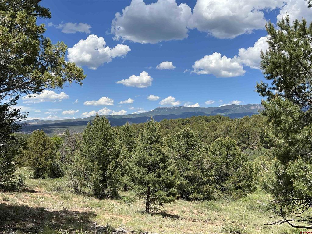 Lot 9 Pointe Escape Drive Ridgway CO 81432