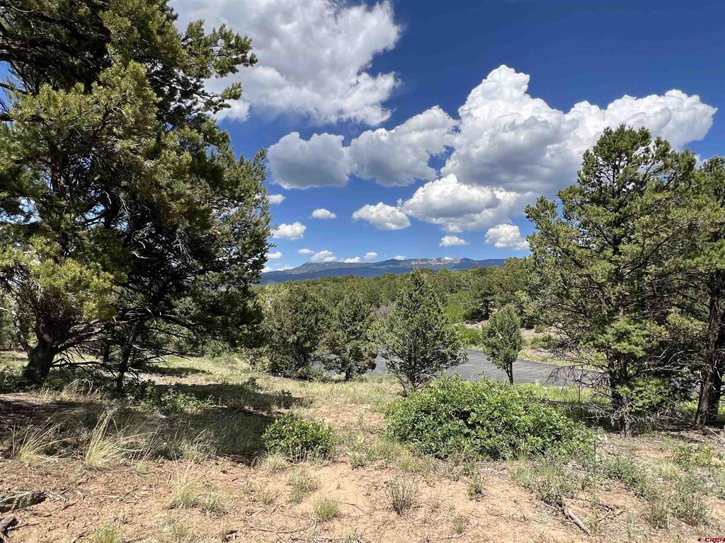 Lot 9 Pointe Escape Drive Ridgway CO 81432