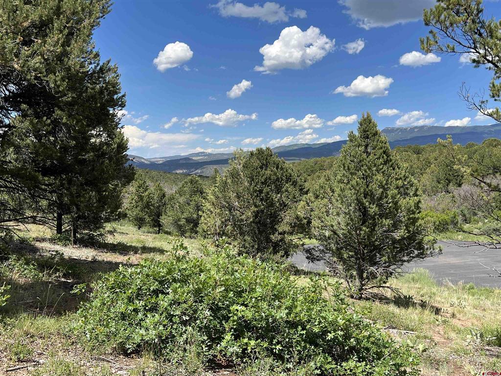 Lot 9 Pointe Escape Drive Ridgway CO 81432