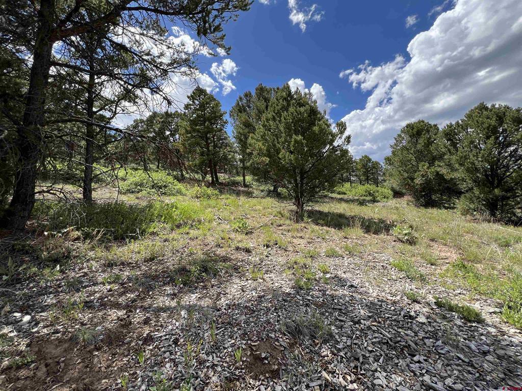 Lot 9 Pointe Escape Drive Ridgway CO 81432