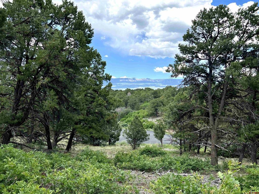 Lot 9 Pointe Escape Drive Ridgway CO 81432