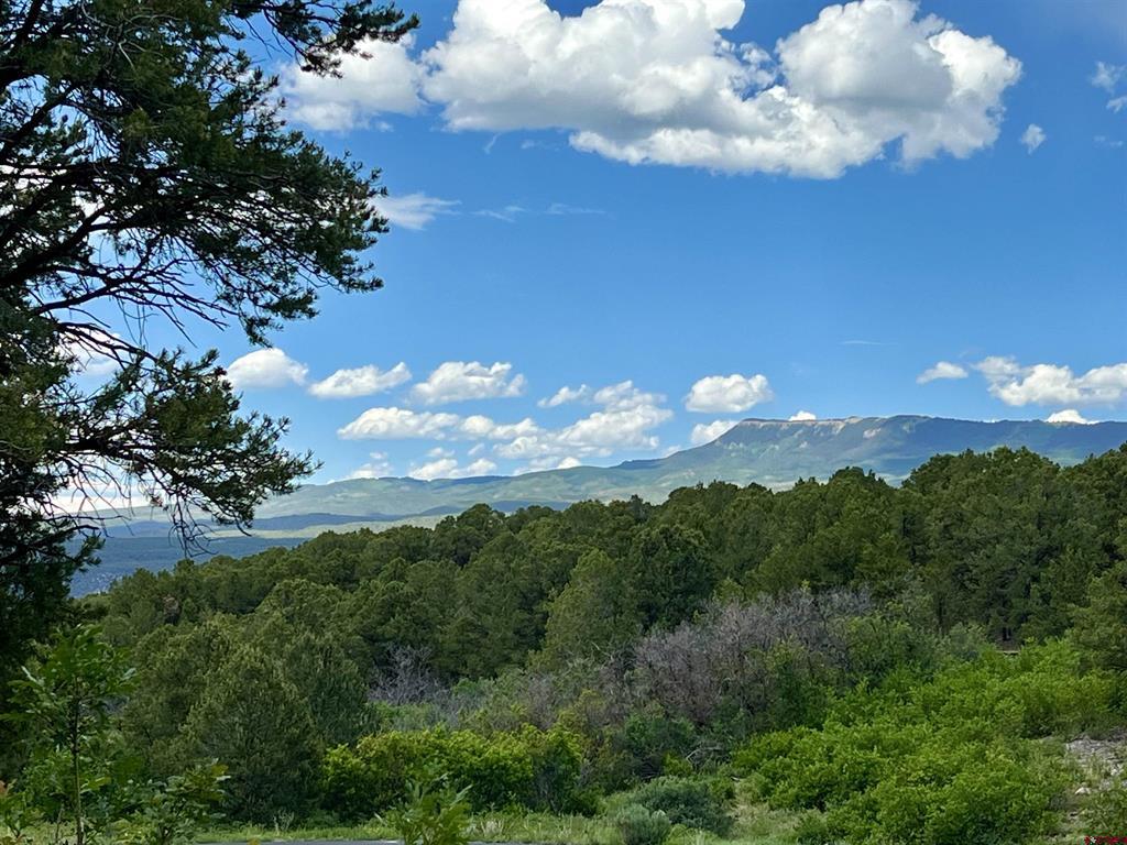 Lot 9 Pointe Escape Drive Ridgway CO 81432