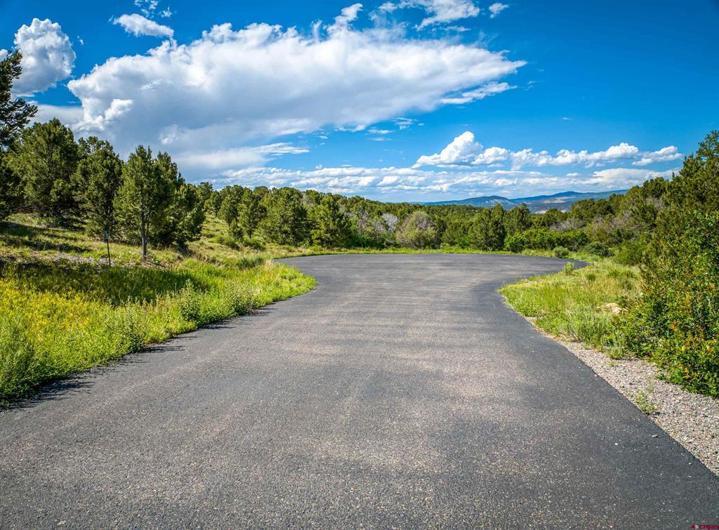 Lot 9 Pointe Escape Drive Ridgway CO 81432