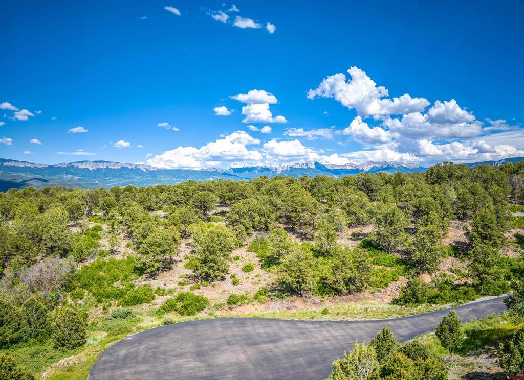 Lot 9 Pointe Escape Drive Ridgway CO 81432